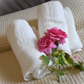 Hair dryer, bidet, towels, toilet paper
