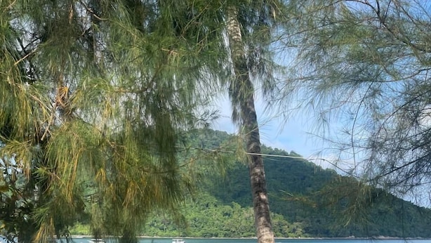 A beachside seating area with tables and chairs, a palm tree, and boats on the water. - The Reef Bluestar Perhentian (Pulau Perhentian Besar)