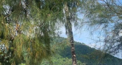 The Reef Bluestar Perhentian