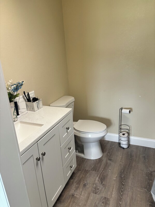 A bathroom with a white toilet, a white vanity with drawers, a sink, and a toilet paper holder.