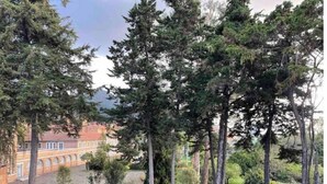 A building with a brick facade, surrounded by trees and a grassy area. - Comfortable and spacious apartment in Usaquén Bogotá (Bogotá, D.C.)