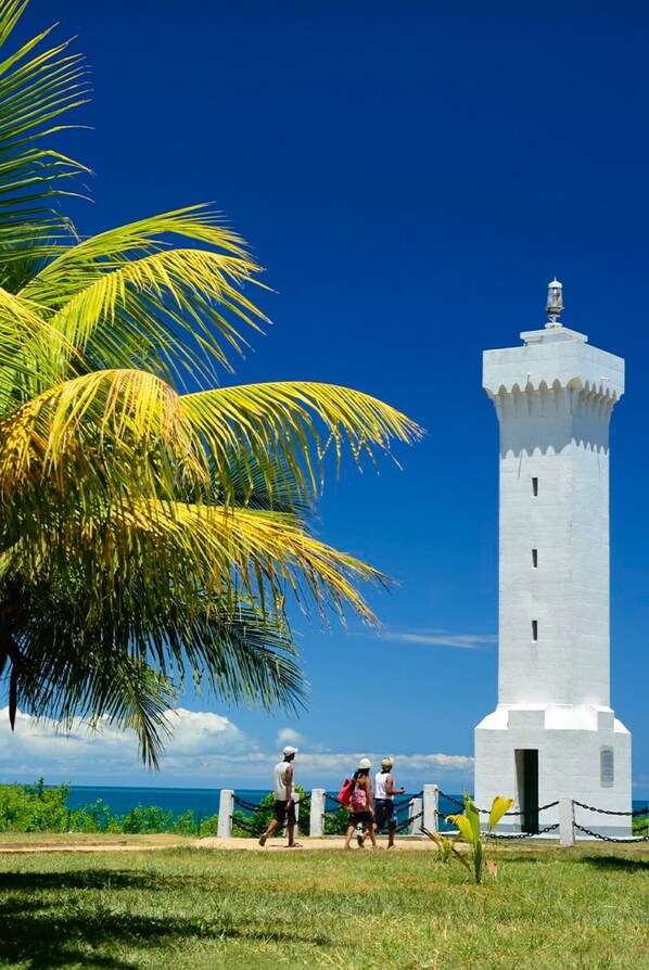 A white lighthouse with a clear sky and palm trees in the foreground.