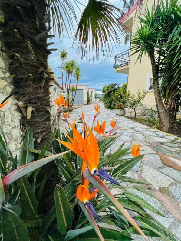 A pathway lined with orange bird of paradise flowers, palm trees, and a building with a balcony.