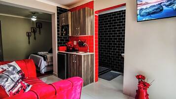 TV, fireplace