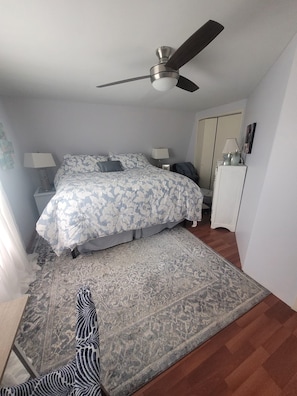 Iron/ironing board, WiFi, bed sheets