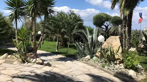Un jardín con palmeras, un sendero de piedra y diversas plantas.