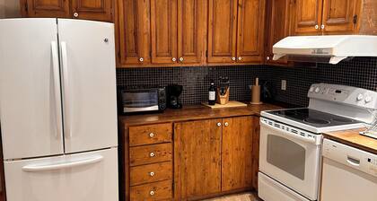 cozy apartment in Dorval