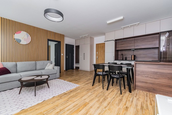 Comfort Apartment | Iron/ironing board, WiFi (free)