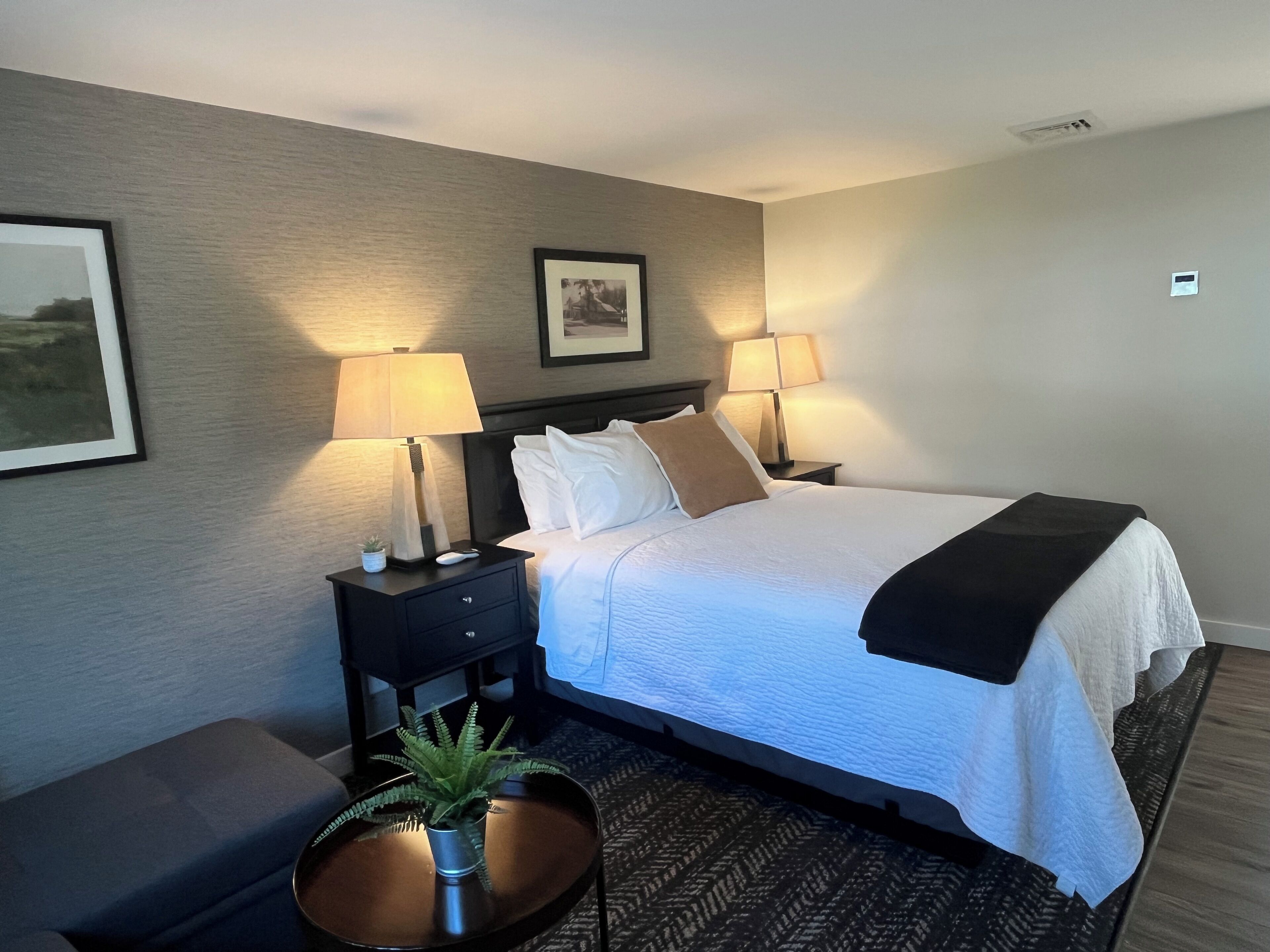 Habitación de hotel con una cama grande, dos lámparas de noche, una mesita con una planta y un cuadro en la pared.