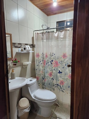 Secadora de cabello, toallas, jabón, papel de baño
