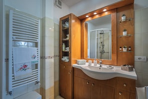 Shower, hair dryer, bidet, towels
