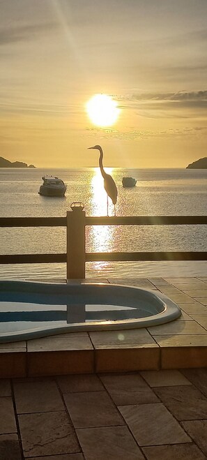 Vista desde la propiedad