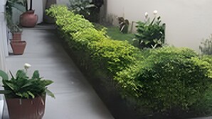 حديقة