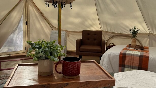 Interior de una tienda de campaña con una cama, una silla, una mesa con una taza y una planta en maceta.