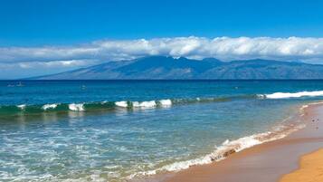 Condo (1 Bedroom) | Beach | On the beach, beach towels
