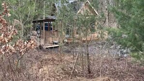 A cabin surrounded by dense forest.