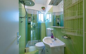 Shower, hair dryer