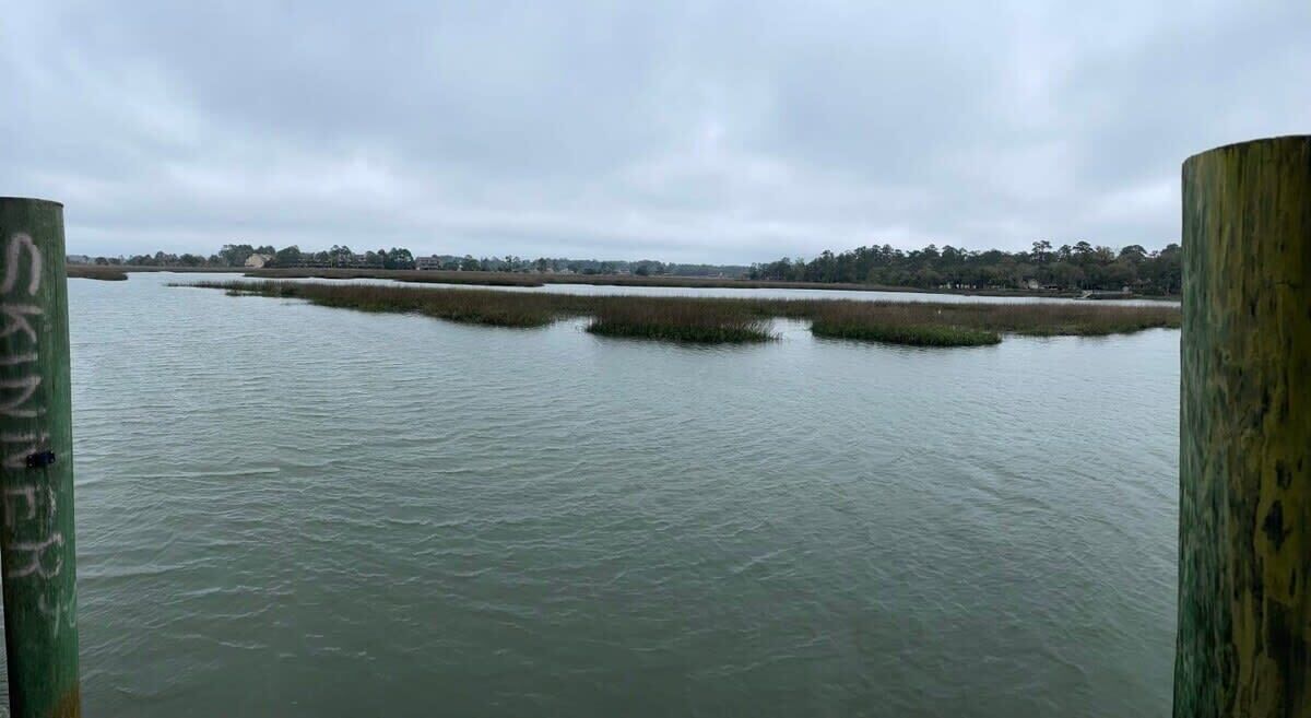 A calm water body with wooden posts, a distant shoreline, and overcast sky.