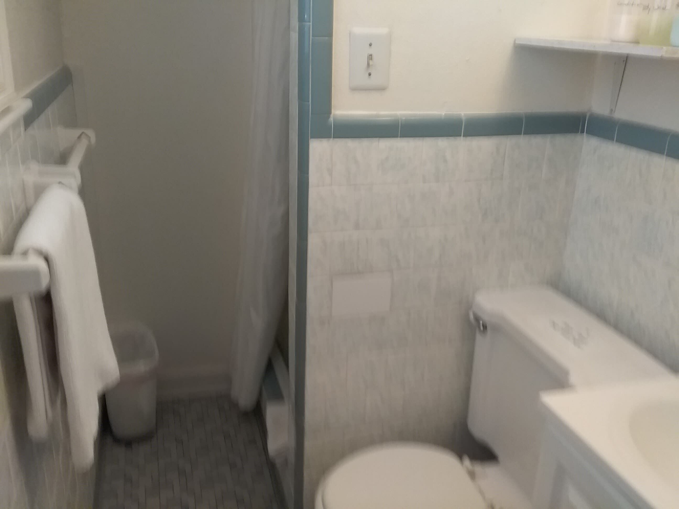 A bathroom with a toilet, a shower area, and a towel rack.