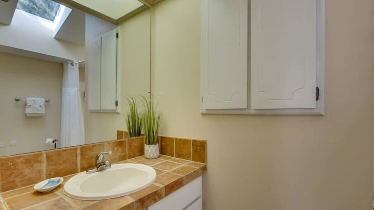 A bathroom with a sink, mirror, and potted plant.
