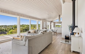 Télévision, cheminée