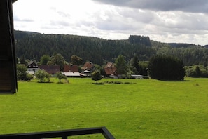 Property grounds - Hohegeiß: a pleasure in summer and winter (Braunlage)