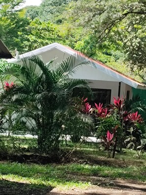 Unclassified image, 5 of 8, button