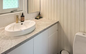 Shower, hair dryer