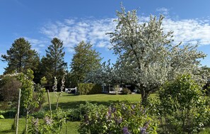 Un jardín con varios árboles y plantas, césped y un edificio al fondo.