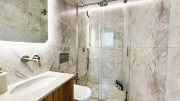 Shower, hair dryer, bidet, towels