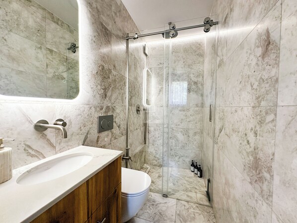 Shower, hair dryer, bidet, towels