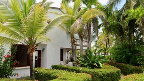 A white building with a covered outdoor seating area, surrounded by lush greenery and palm trees.