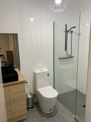Shower, towels, soap, toilet paper