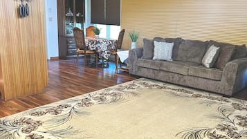 Smart TV, fireplace, books, music library