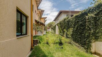 Basic Villa | Property grounds