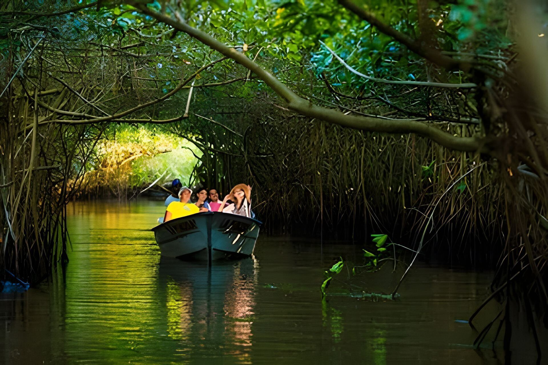 Suite | Miscellaneous