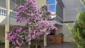 Un patio con una mesa y sillas, rodeado de un jardín con un árbol en flor.