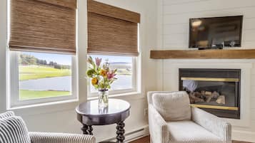 TV, fireplace