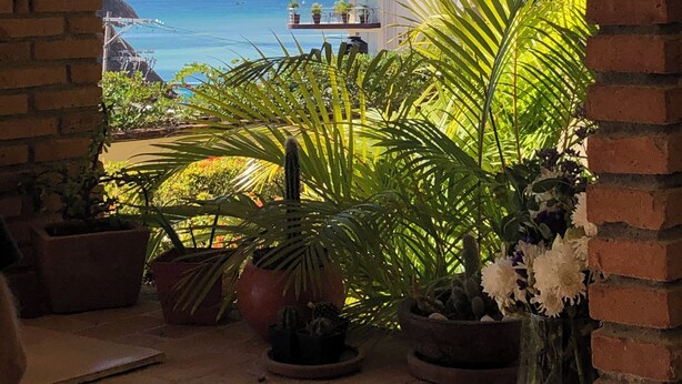 Un pati amb vista al mar, plantes en testos i una decoració penjant.