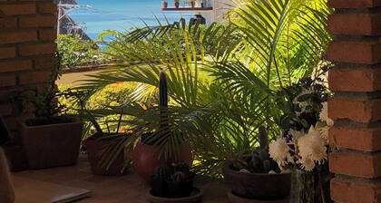 Mita Beach Condo Rental
