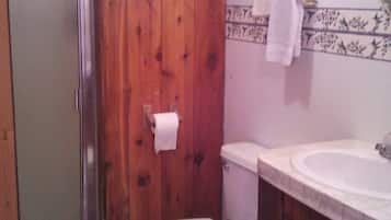 Shower, towels, soap, toilet paper