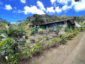 Àrea exterior de l'allotjament