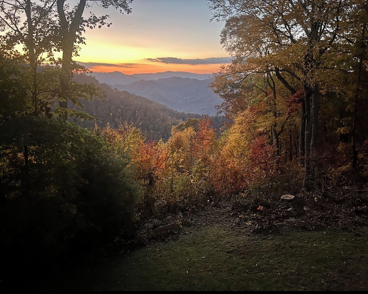 A forested landscape with a view of distant mountains.