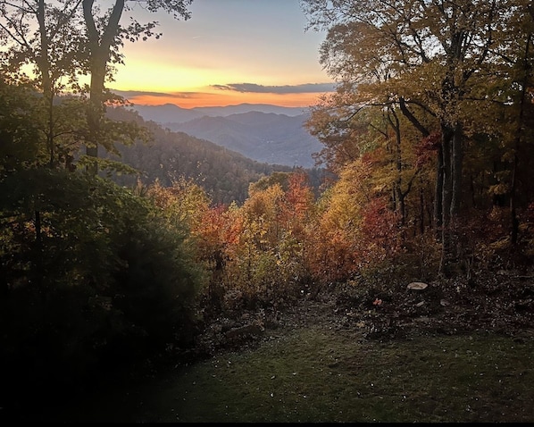 Un paisaje boscoso con vista a montañas distantes.