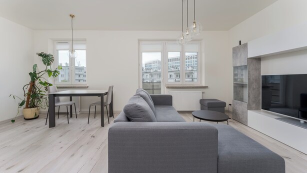 A modern living room with a grey sofa, dining table, chairs, and a potted plant.