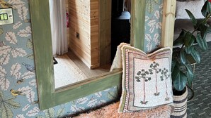 A mirror with a green frame, a wall-mounted light fixture, and a decorative pillow with a tree pattern.