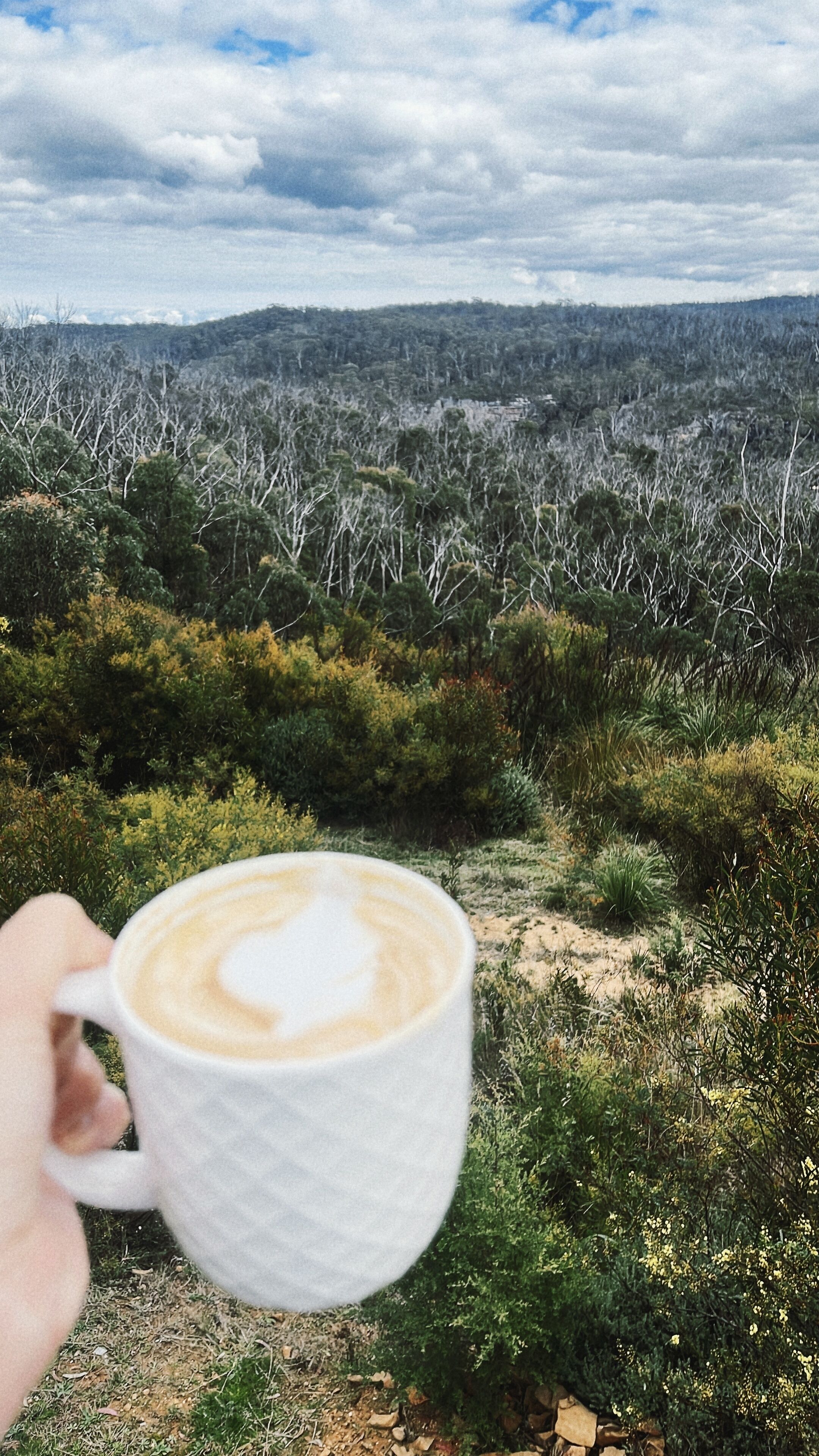 A hand holding a white paper cup with a latte art design, set against a backdrop of a natural landscape with trees and a cloudy sky.