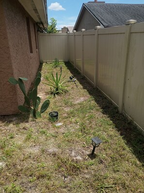 A backyard with a wooden fence, a cactus, and a small garden area.