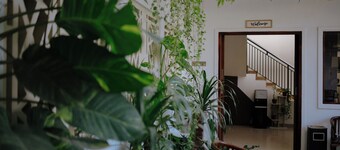 Mama Komodo Bed & Breakfast