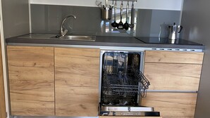 A compact kitchen with a dishwasher, stainless steel sink, and a utensil holder. - Mountain View Lodge XL (1) - Idro (Idro)